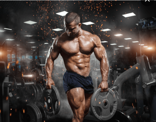 Magnum Quattro - 4-Stage Protein Isolate