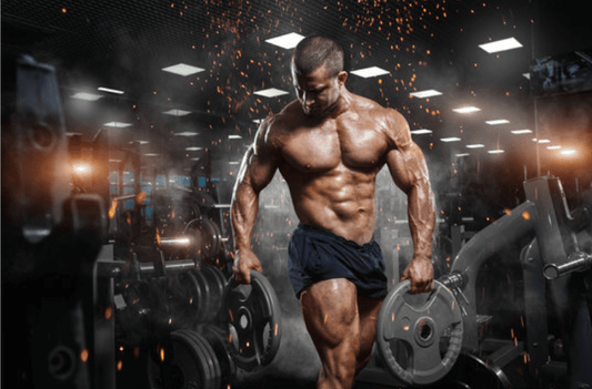 NP Nutrition - L-Glutamin & BCAA